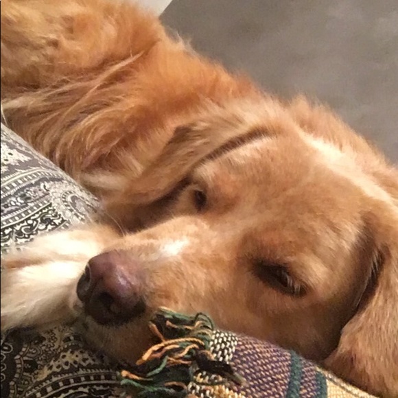 Meet your Posher, Jane - Picture 1 of 1